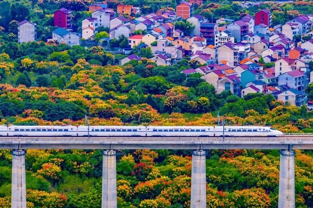 这条高铁火了！串联近10个5A级景区，还能“遇见”李白