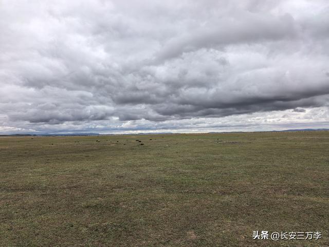 北上大草原第8站：贡格尔草原生活体验一天