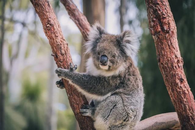 游侠客员工度假：两年了，我还在回味这里！