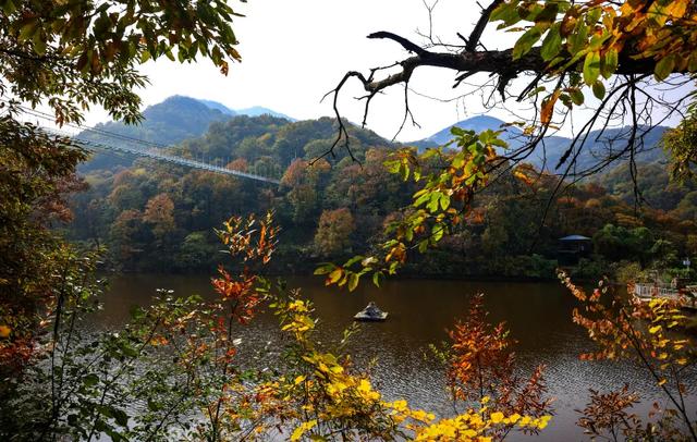 记者们快看——金顶山免门票专属权益!