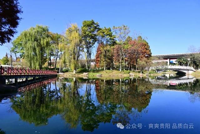 【爽游白云】曹关湿地公园的限定秋色