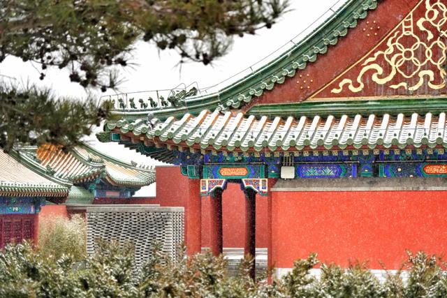 下了!下了!快来东城赏雪吧!