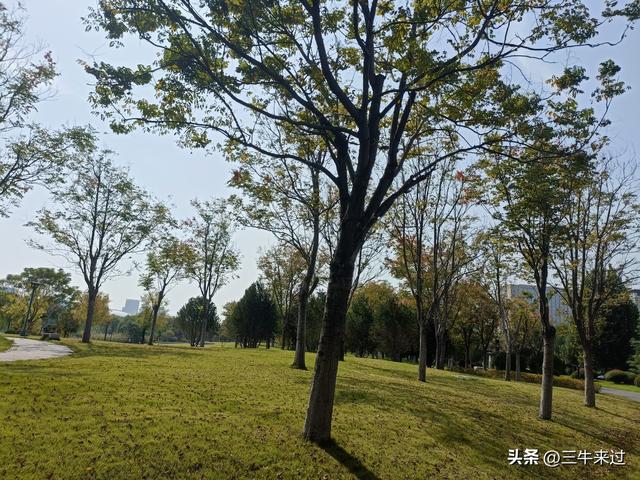无为在歧路，国庆游淄博1