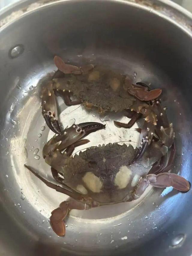 做了20多年房地产，北京姑娘不干了，跨越2800公里来浙江无人岛上班：螃蟹管够，沙鳗钓到手软