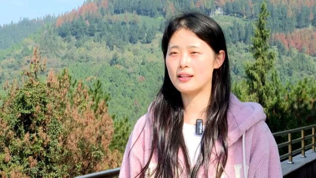 秀岭春天：红韵漫山隅杉林醉客入画来