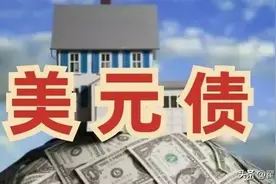 发行40亿“外币债”是福是祸，亦或是“计”？图片