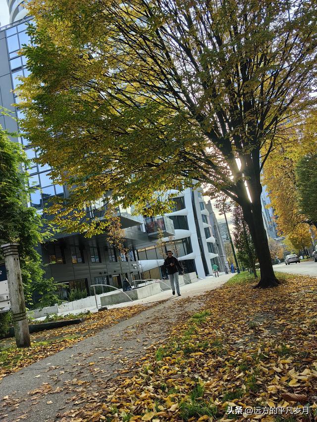 温哥华游记（一）