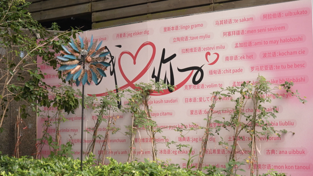 沈奕斐谈年轻人为何脱单难