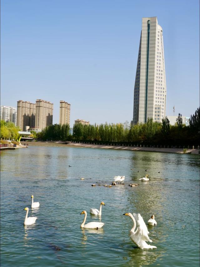 新疆第一大行政区揭晓，抵约28.8个北京，约74.4个上海！