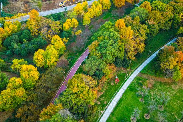 晚霞映照下的宁阳洸河湿地公园