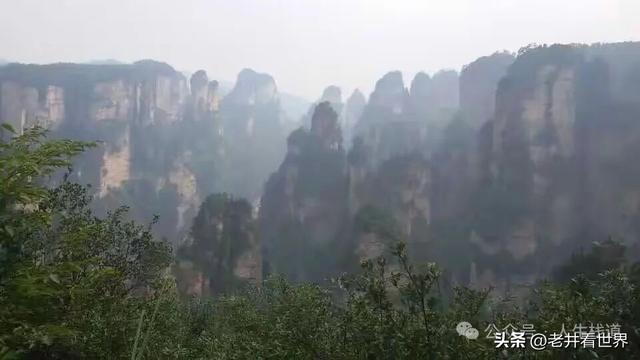 年轻的张家界 || 胡成江