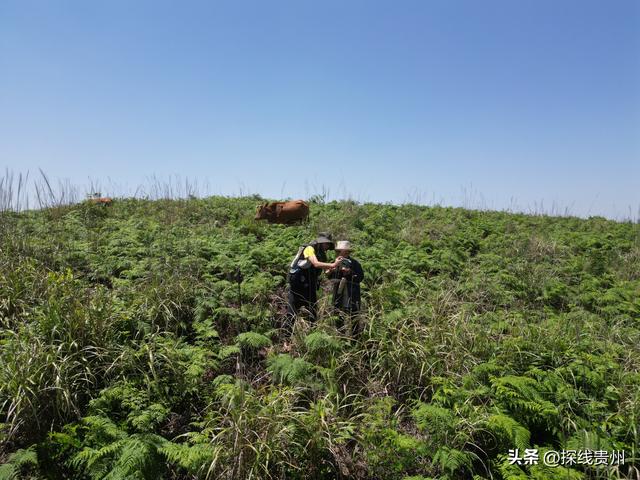 环城贵阳花溪苗王坡越野大环线之青岩段达夯翁拢“冈仁波齐”风景