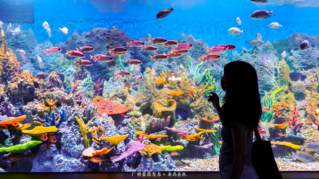 刷爆番禺人朋友圈的新地标，18000㎡的空间究竟藏着什么？