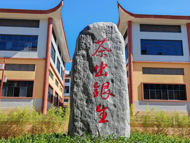 景东：蕴含着数千年的茶文化史诗