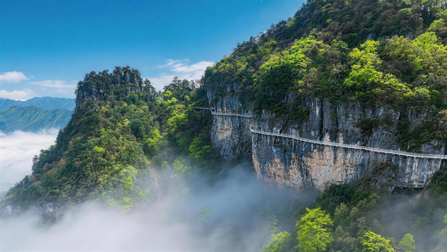 光雾山燕子岭新环线五一全线贯通 创新生态康养旅游新范式