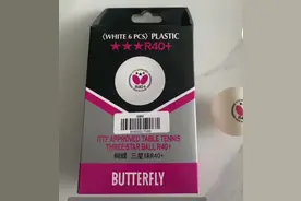 个人向，乒乓球推荐优缺点分析图片