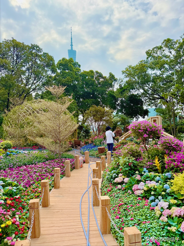 这个周末不如带娃去逛逛这里的花花