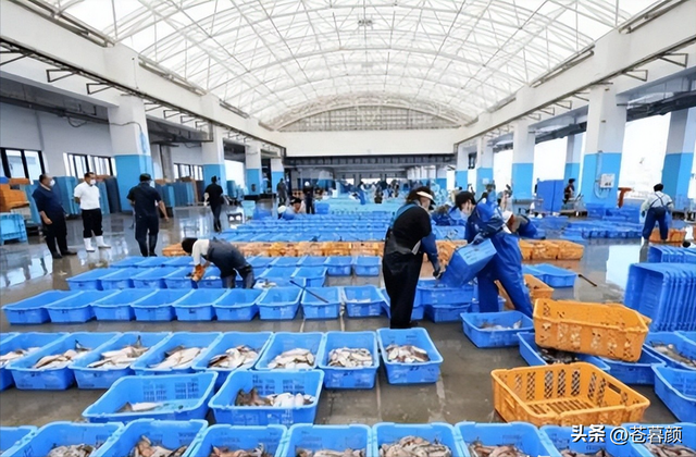 全面停止进口，一票否决！日本彻底傻眼	，三十五年布局白费！