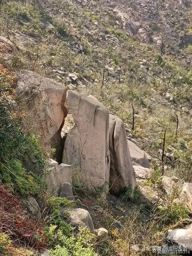 大罗山这条改造过的登山步道你可去过?