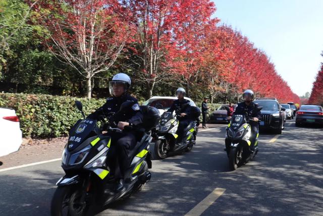 红枫火了!这边“枫警”独好