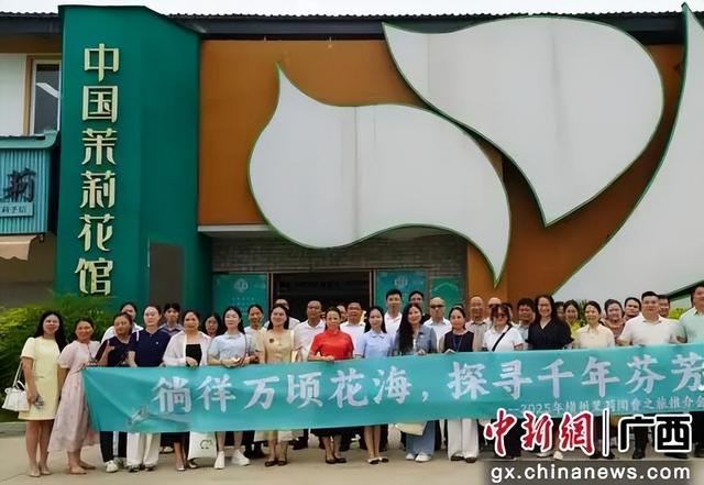 广西横州推出茉莉闻香之旅，展“世界茉莉花都”魅力