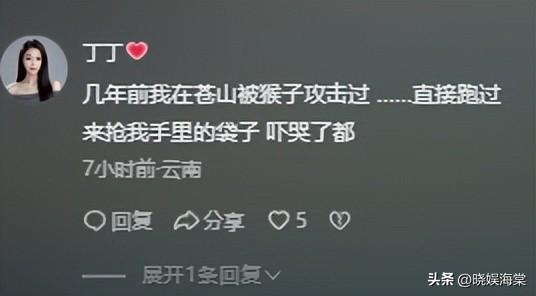 苍山自闭男孩失联后续：救援队回应，老师发声，更可怕的还在后面