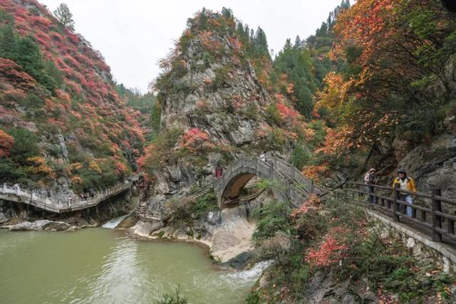 这才是秋天该有的样子~