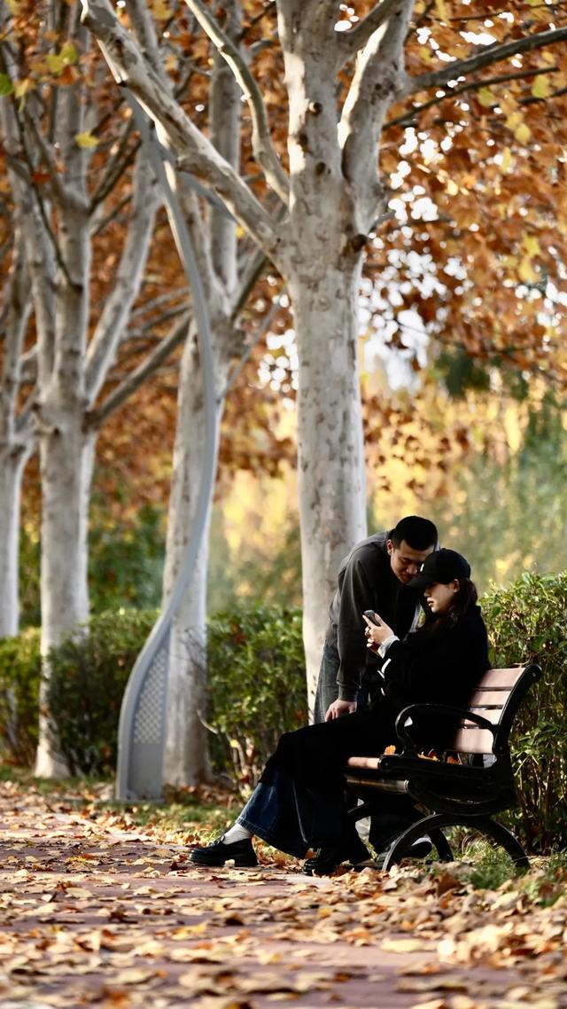 谁说初冬只有萧瑟？来太白湖新区解锁绚烂生机打卡地