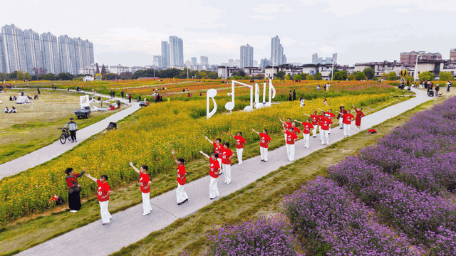 早安 新建丨马兰花海秋季赏花正当时！