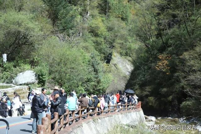 国庆第三日，官鹅沟秋色正浓人气旺