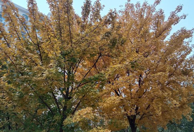 两性关系：惊人发现，60岁与异性靠近，根本不是桃花运，而是这个