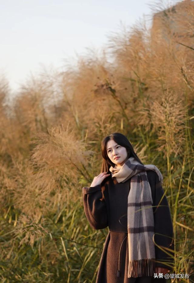 芦苇+落日=超级出片！望城这片景太会了！