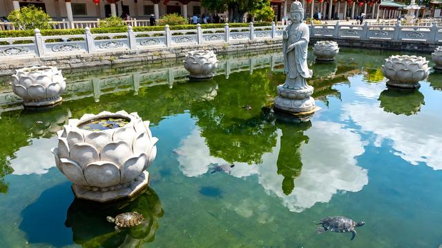 鹭岛梵音：漫步南普陀寺，解码千年禅韵与厦门人文的深度之旅