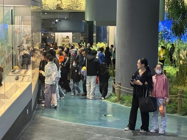三花并蒂 呼伦贝尔博物院国庆“霸屏”文旅圈