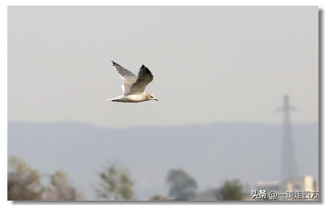 漫步丹东鸭绿江畔，可以隔江望见对岸的朝鲜