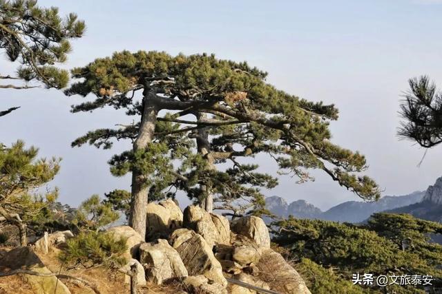 五元纸币隐藏款彩蛋曝光！风景原型地90%游客都走过了界