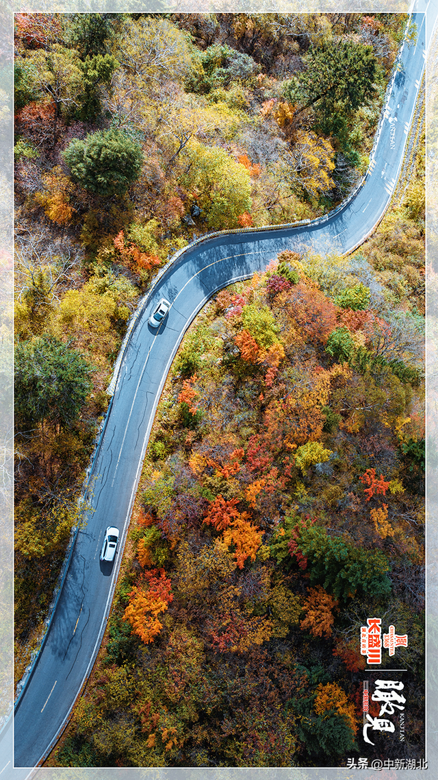 【瞰见】神农架：让心灵与自然共鸣