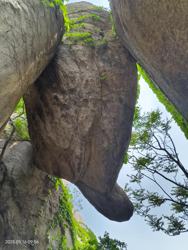 去爬崂山（仰口与太清两座山）