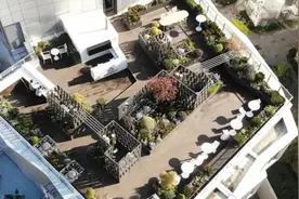 打造“城市空中会客厅”！杨浦这里的屋顶花园景观再升级图片