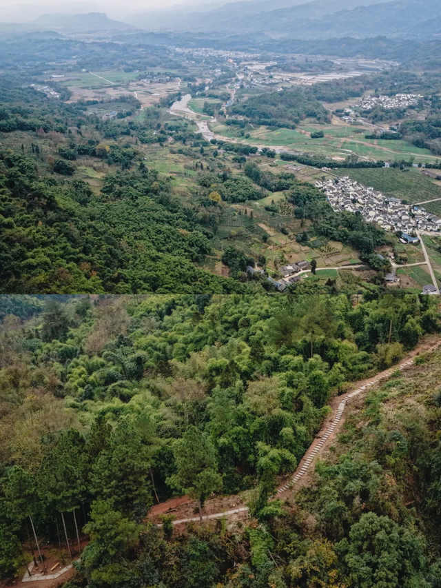 新发现的小众徒步路线！成都周边1.5h茶马古道，免费景美野趣十足