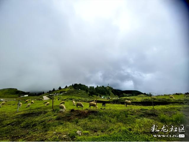 昆明有个阿勒泰