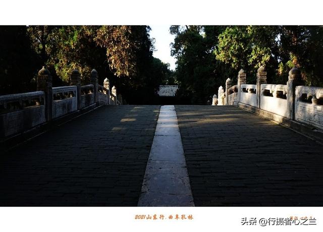 山东行游影记（226）—曲阜孔林（二）