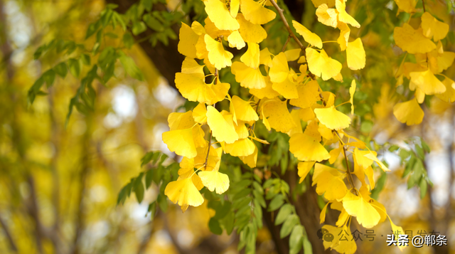 涉县：美拉德配色里，藏着橙黄橘绿的诗意