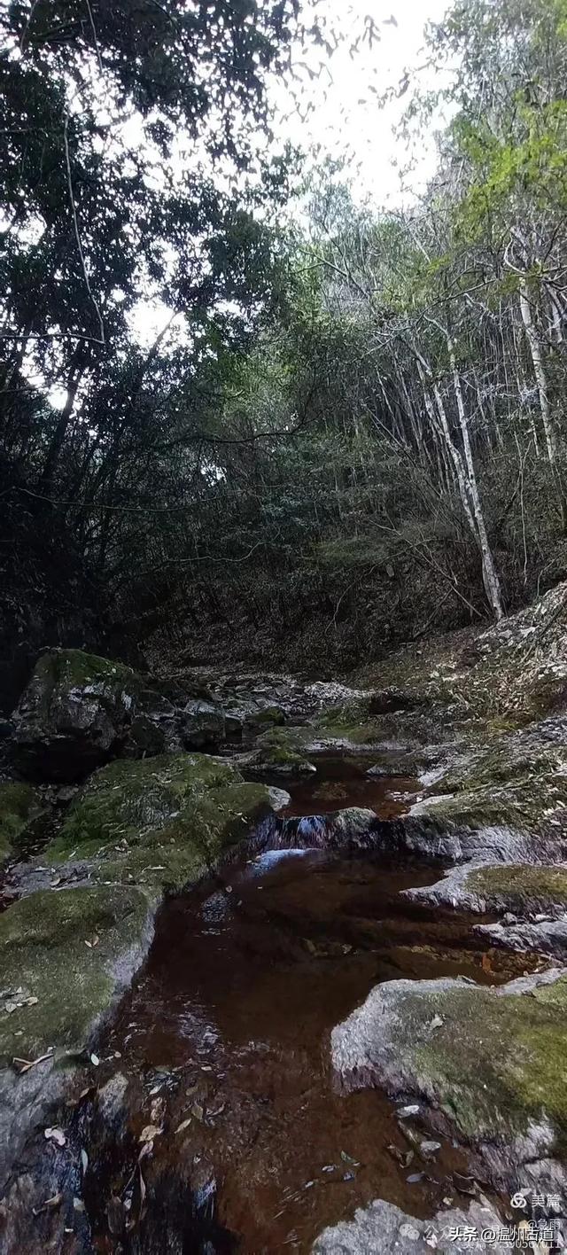 探秘楠溪江源头，深山中的秘境！