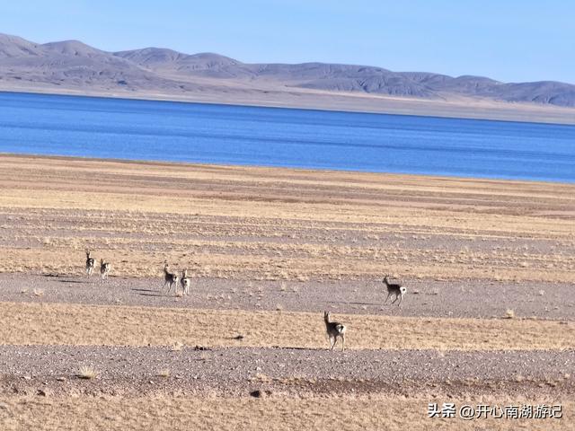 喀什经317到成都，尼玛-班戈，途经达则措、恰规措、色林措