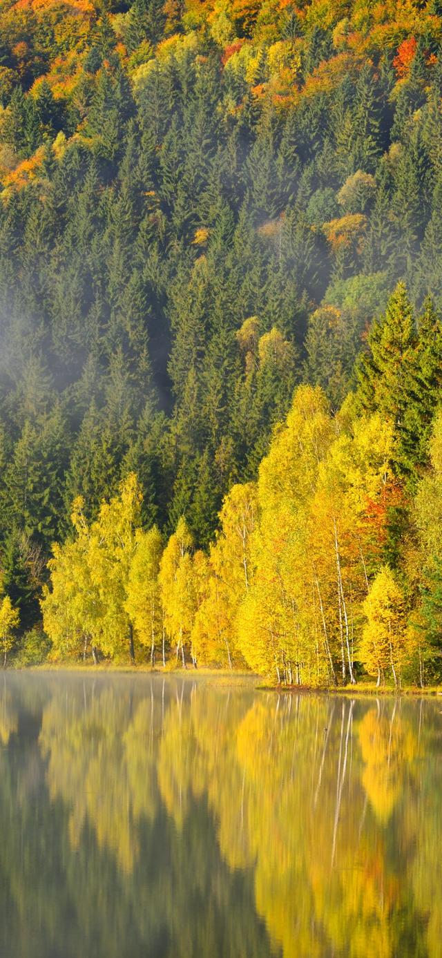 手机壁纸|秋天自然绝美风光美景
