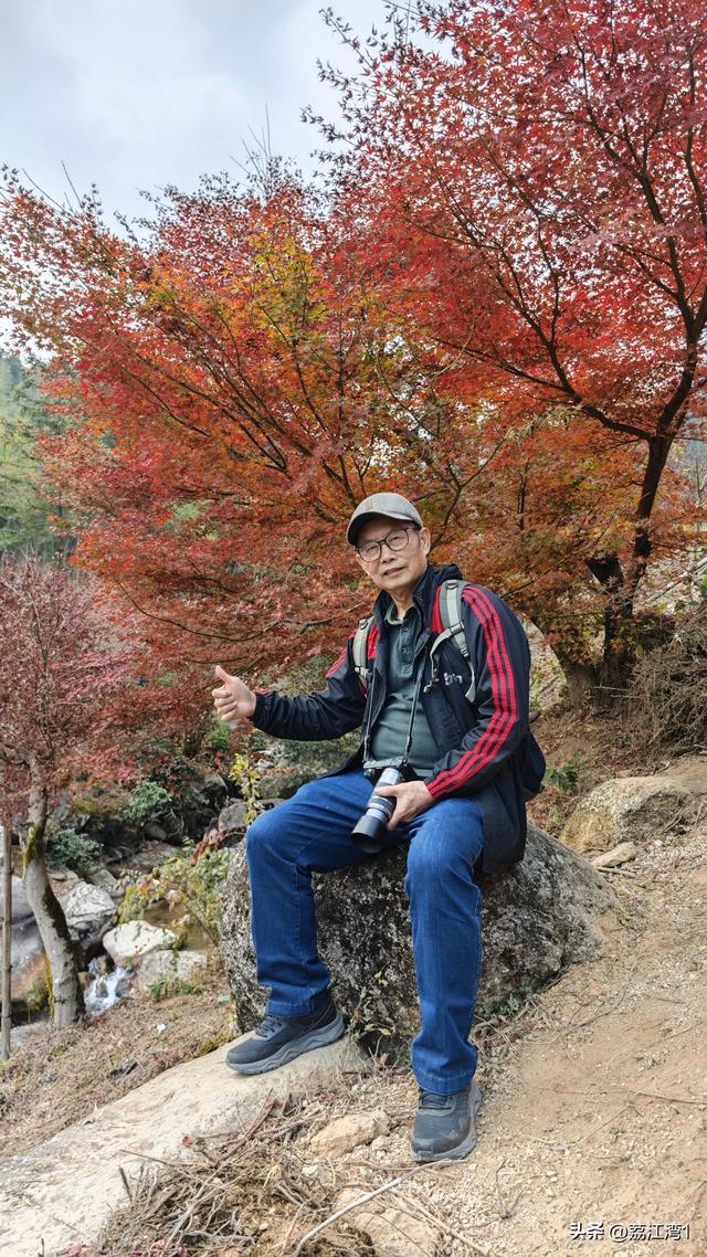 蓝山谷记：与十万株红枫的相遇