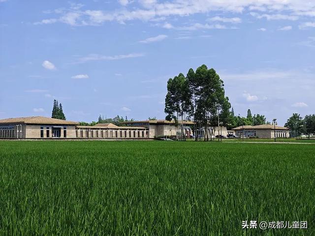 夏天一定要看一次稻田！这4处可看，还能喝下午茶逛博物馆