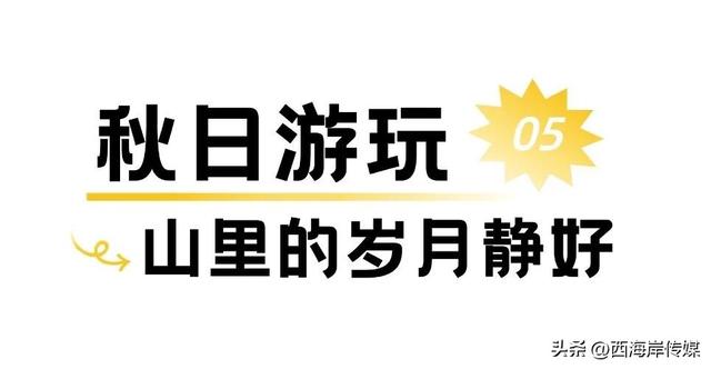 出发杨家山里！秋日游玩攻略已备好→