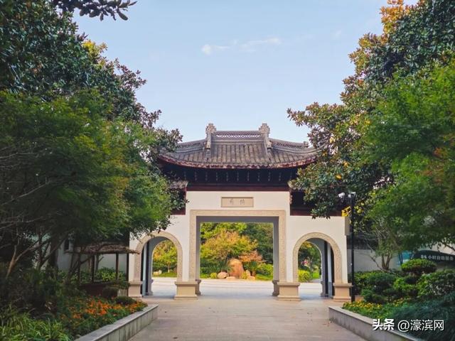 秋色“进度条”加载中，狼山森林公园赏秋点等你来打卡→